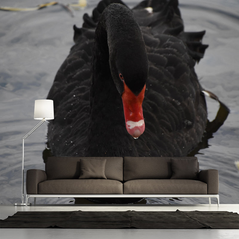 Customized Black Swan Wall Mural Contemporary Photography for Bedroom Living Room