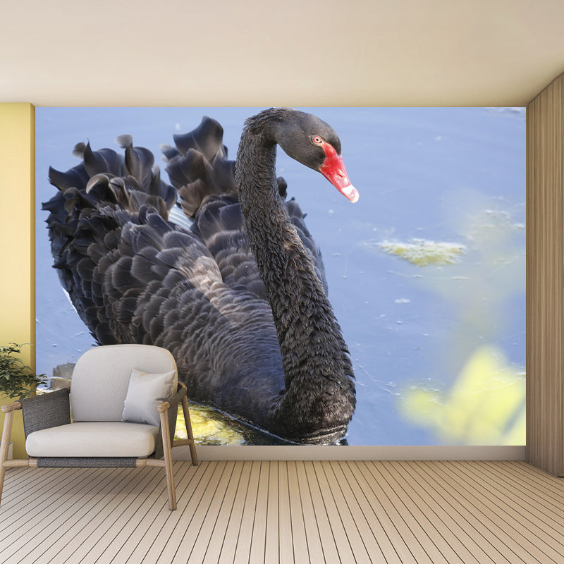 Customized Black Swan Wall Mural Contemporary Photography for Bedroom Living Room