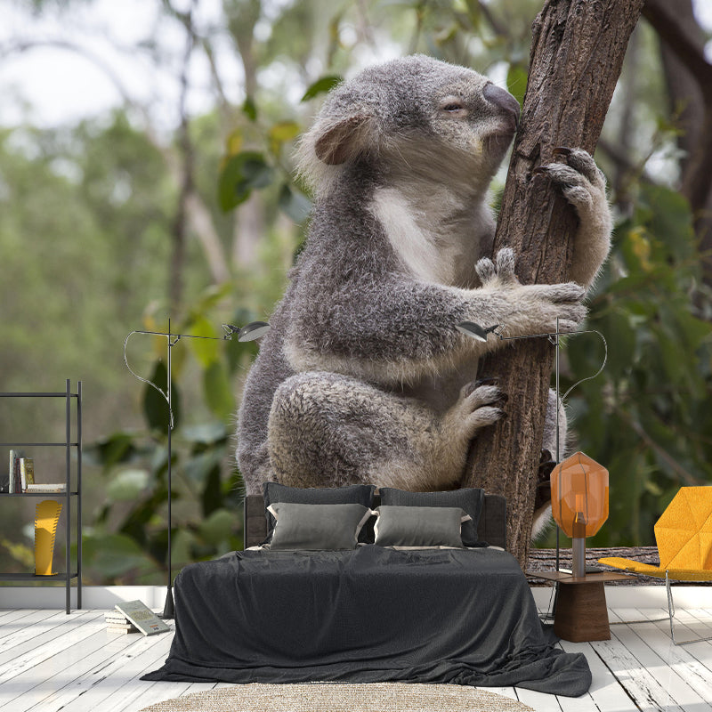 Customized Koala Wall Mural Contemporary Photography for Bedroom Living Room