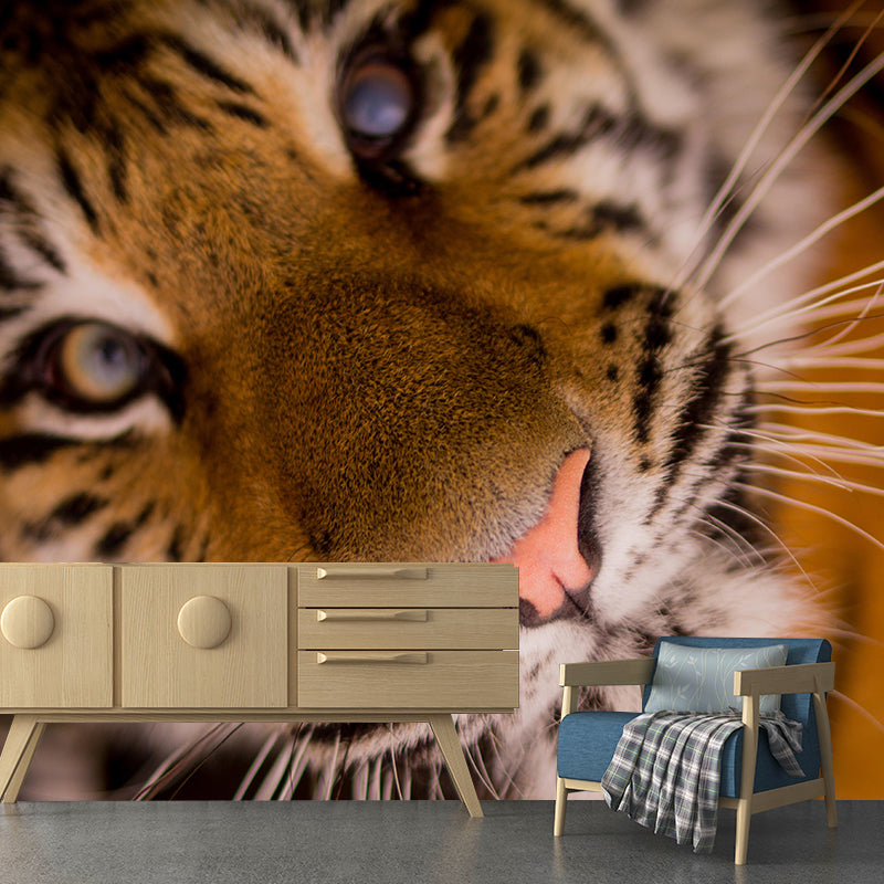 Photography Wild Animal Tiger Mural Wallpaper Environment Friendly for Living Room