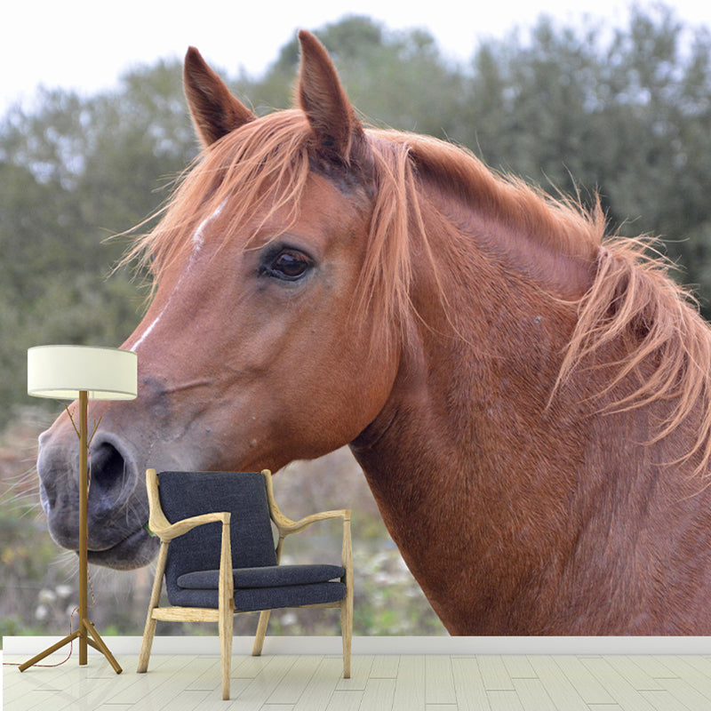 Photography Animal Horse Mural Wallpaper Environment Friendly for Living Room