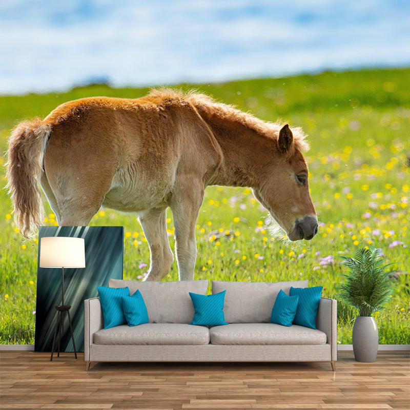 Photography Animal Horse Mural Wallpaper Environment Friendly for Living Room
