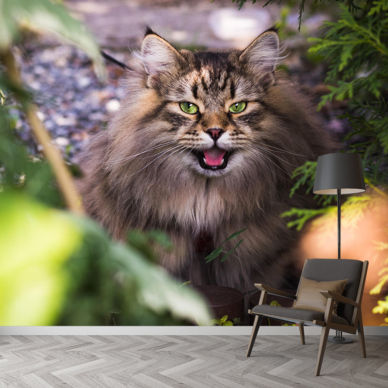 Photography Animal Cat Mural Wallpaper Environment Friendly for Living Room