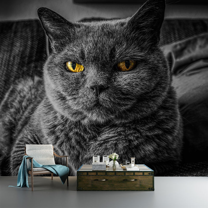 Photography Animal Cat Mural Wallpaper Environment Friendly for Living Room