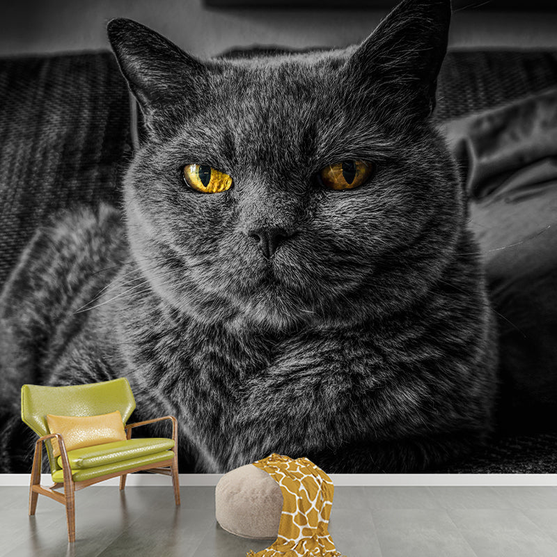 Photography Animal Cat Mural Wallpaper Environment Friendly for Living Room