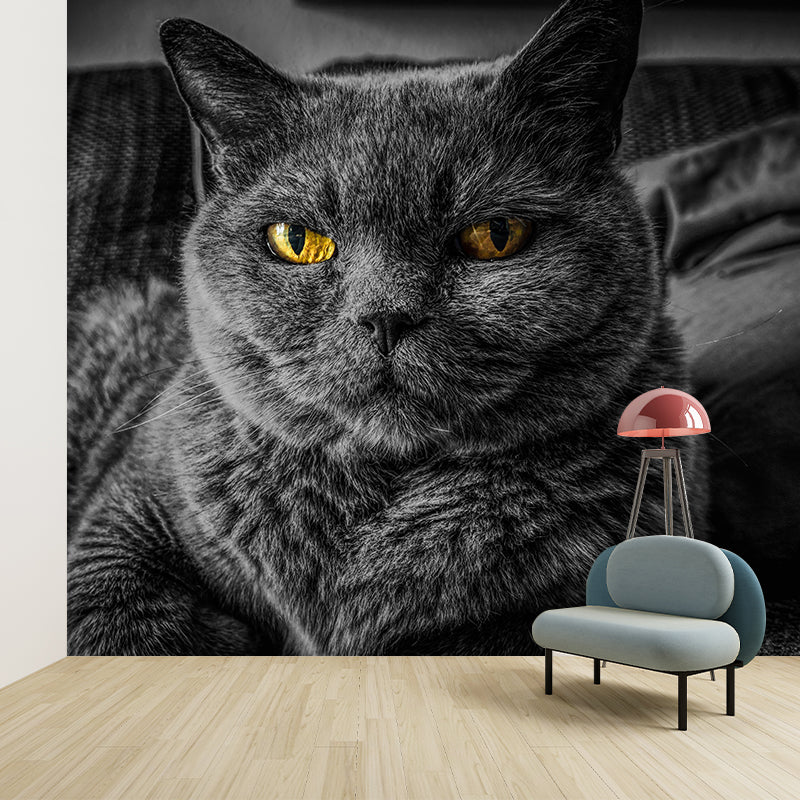 Photography Animal Cat Mural Wallpaper Environment Friendly for Living Room