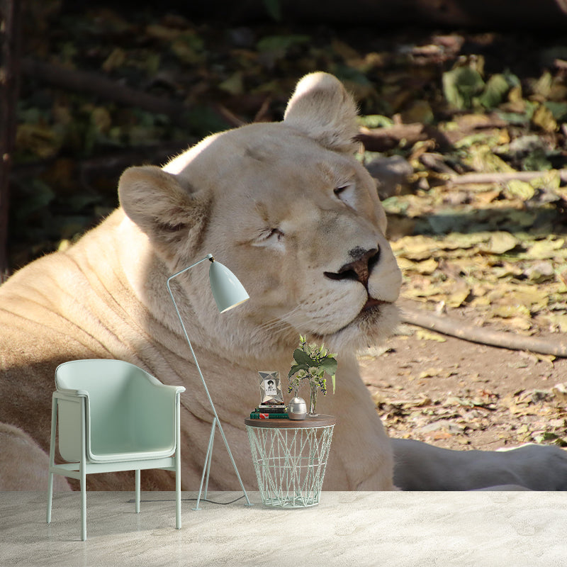 Customized Lioness Wall Mural Contemporary Photography for Bedroom Living Room