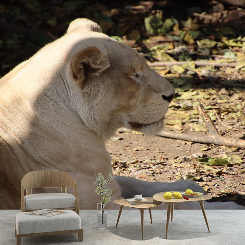 Customized Lioness Wall Mural Contemporary Photography for Bedroom Living Room