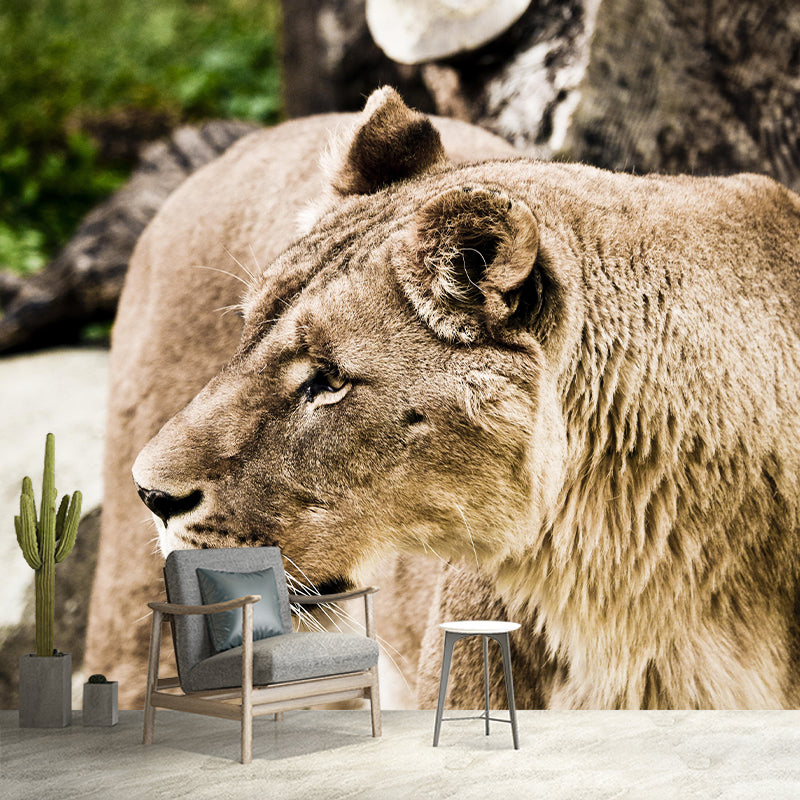 Customized Lioness Wall Mural Contemporary Photography for Bedroom Living Room