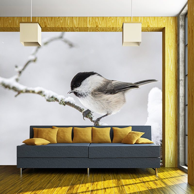Photography Wild Animal Tit Mural Wallpaper Environment Friendly for Living Room