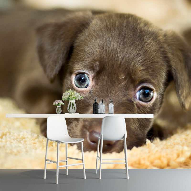Customized Puppy Wall Mural Contemporary Photography for Bedroom Living Room