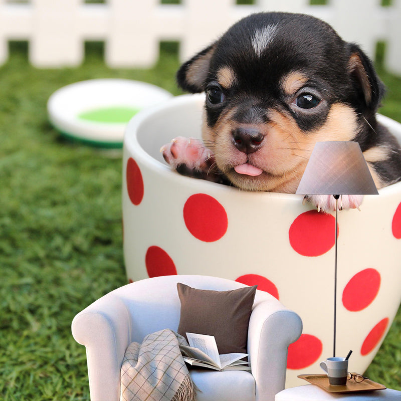 Customized Puppy Wall Mural Contemporary Photography for Bedroom Living Room