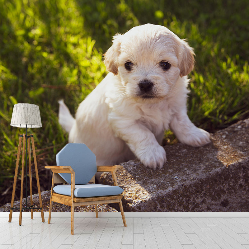 Customized Puppy Wall Mural Contemporary Photography for Bedroom Living Room