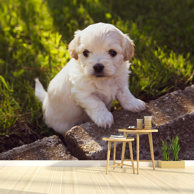 Customized Puppy Wall Mural Contemporary Photography for Bedroom Living Room