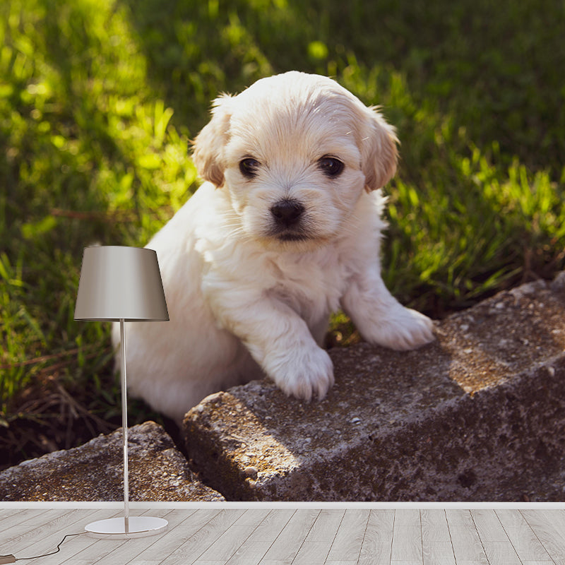 Customized Puppy Wall Mural Contemporary Photography for Bedroom Living Room