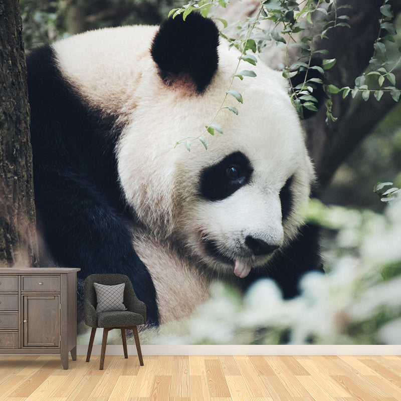 Customized Panda Wall Mural Contemporary Photography for Bedroom Living Room