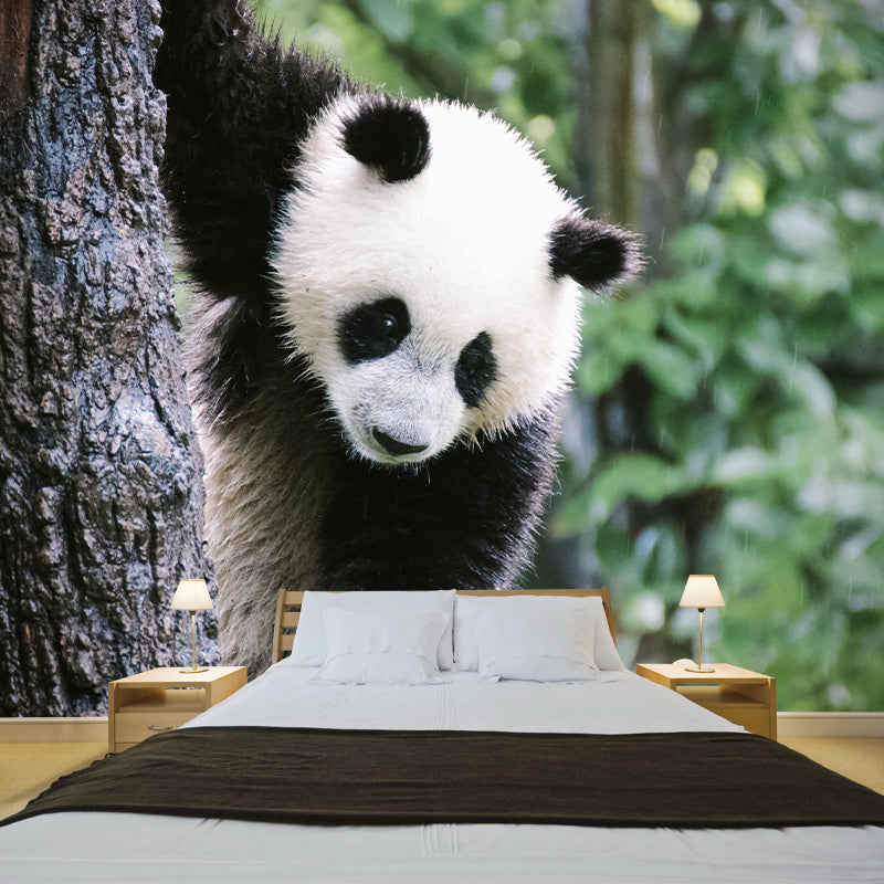 Customized Panda Wall Mural Contemporary Photography for Bedroom Living Room