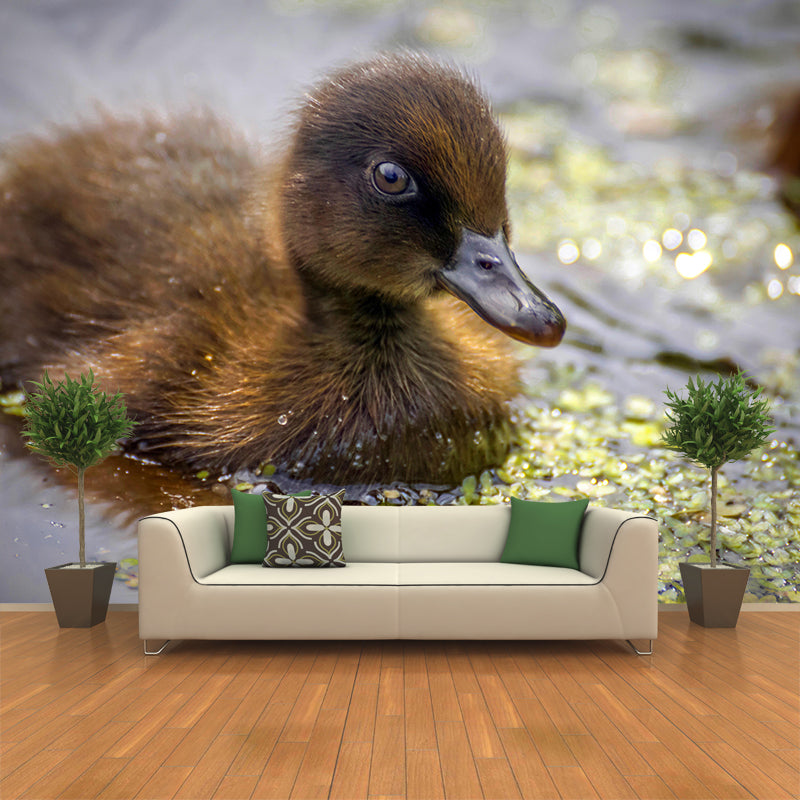 Photography Animal Duck Mural Wallpaper Environment Friendly for Living Room