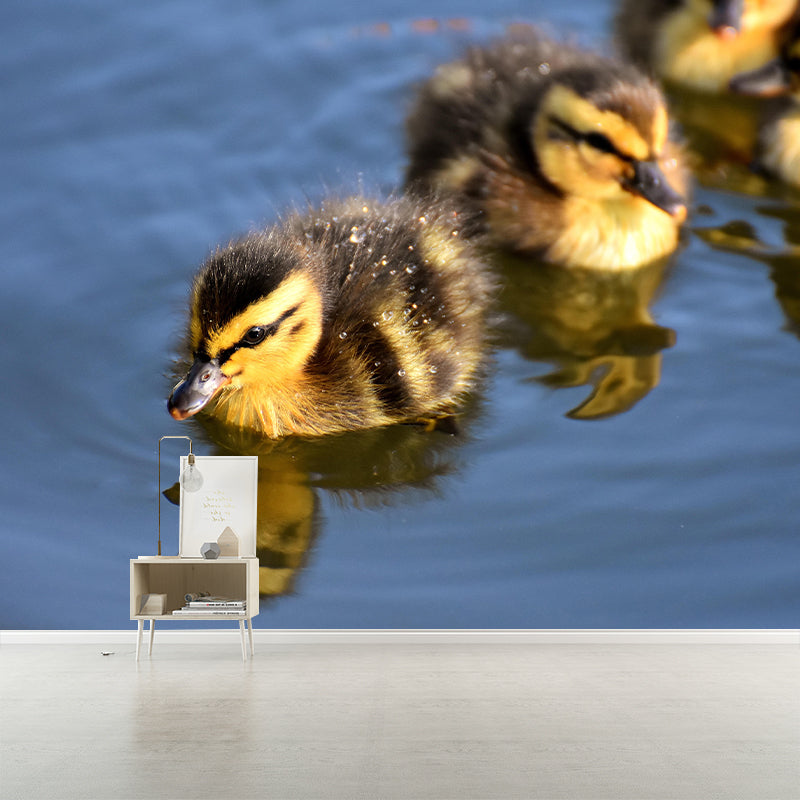 Photography Animal Duck Mural Wallpaper Environment Friendly for Living Room