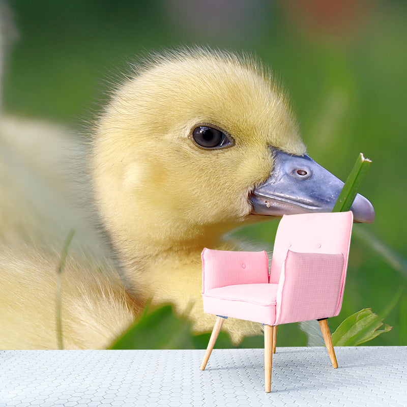 Photography Animal Duck Mural Wallpaper Environment Friendly for Living Room