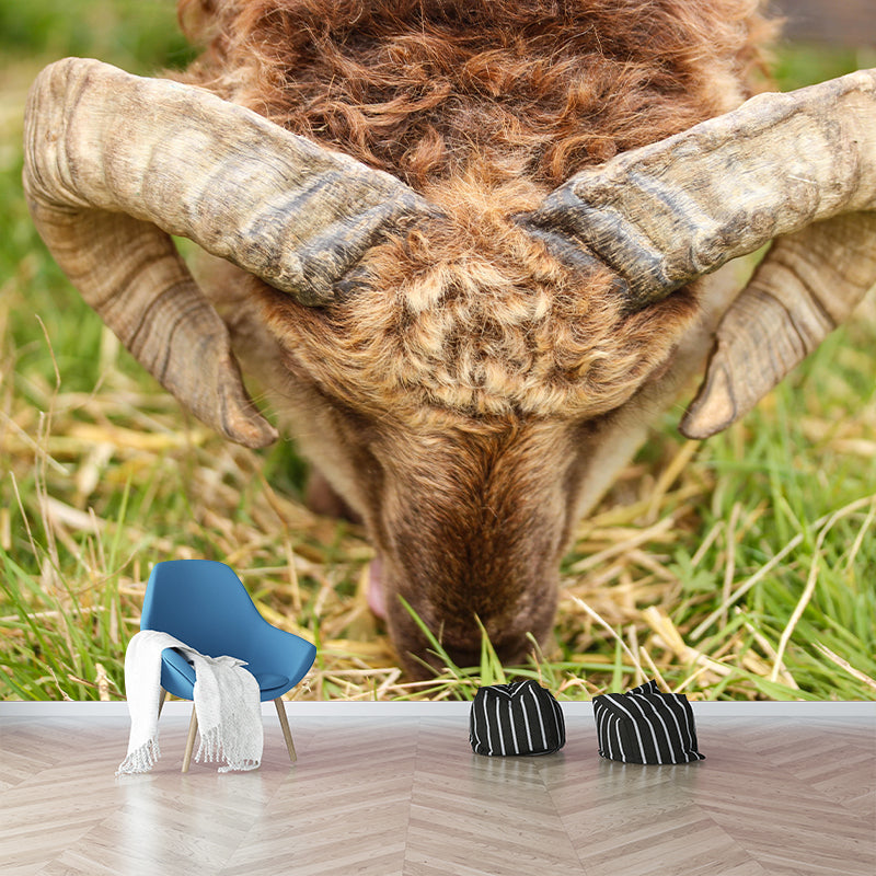 Photography Animal Sheep Mural Wallpaper Environment Friendly for Living Room