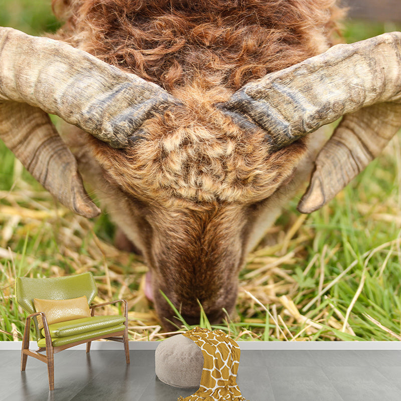 Photography Animal Sheep Mural Wallpaper Environment Friendly for Living Room