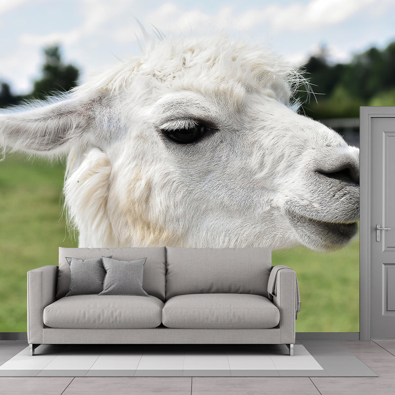 Customized Cute Alpaca Wall Mural Contemporary Photography for Living Room