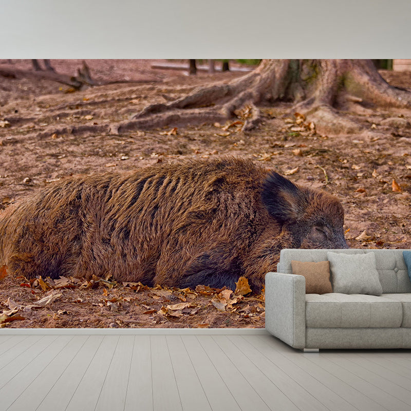 Customized Lion Wall Mural Contemporary Photography for Bedroom Living Room