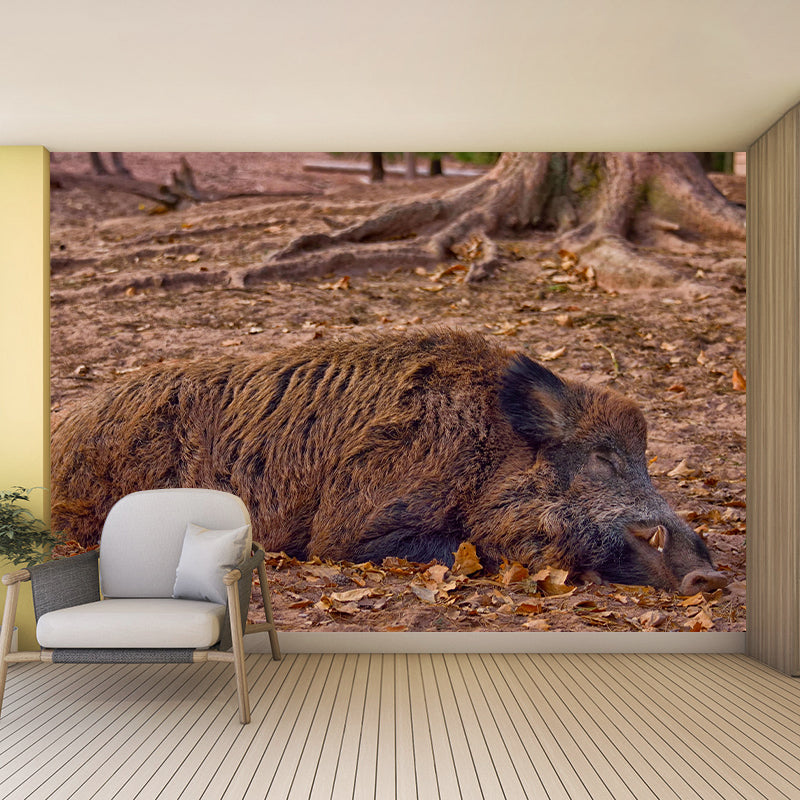 Customized Lion Wall Mural Contemporary Photography for Bedroom Living Room