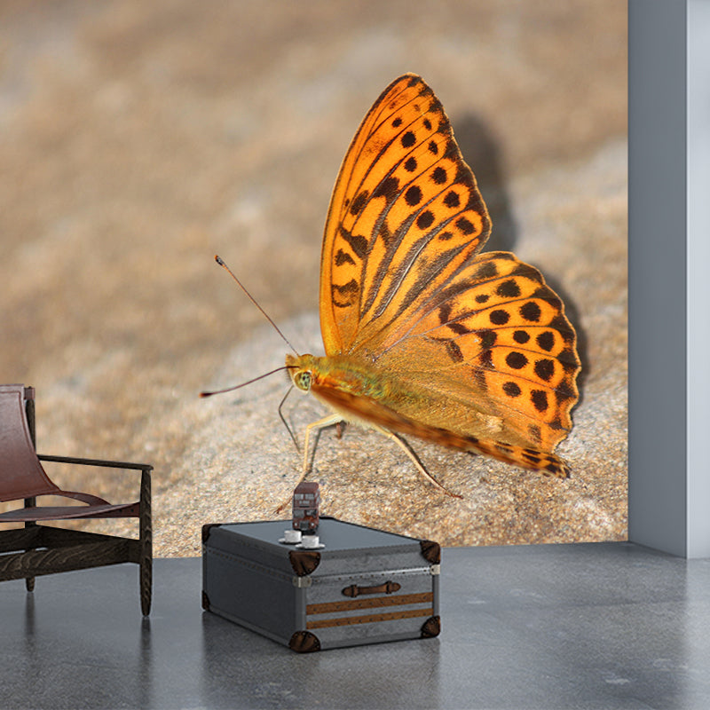 Silver Washed Fritillary Mural Contemporary Photography for Living Room Decoration