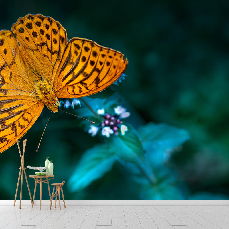 Silver Washed Fritillary Mural Contemporary Photography for Living Room Decoration