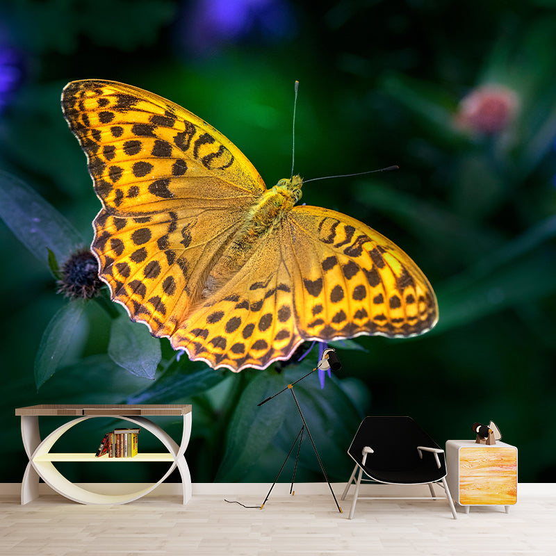 Silver Washed Fritillary Mural Contemporary Photography for Living Room Decoration