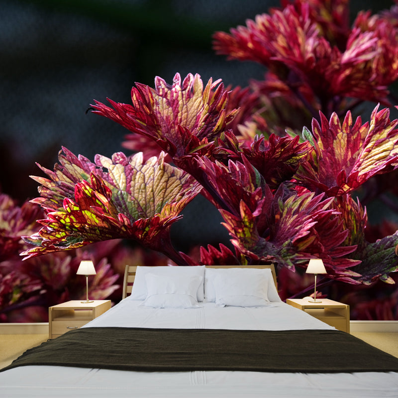 Coleus Amboinicus Mural Wall Paper Home Decorations for Kitchen Sitting Room