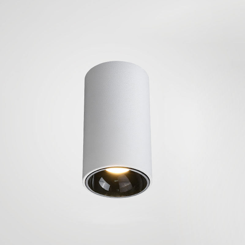 Cylindrical Ceiling Light Flush Mount Ceiling Light Fixture contemporary