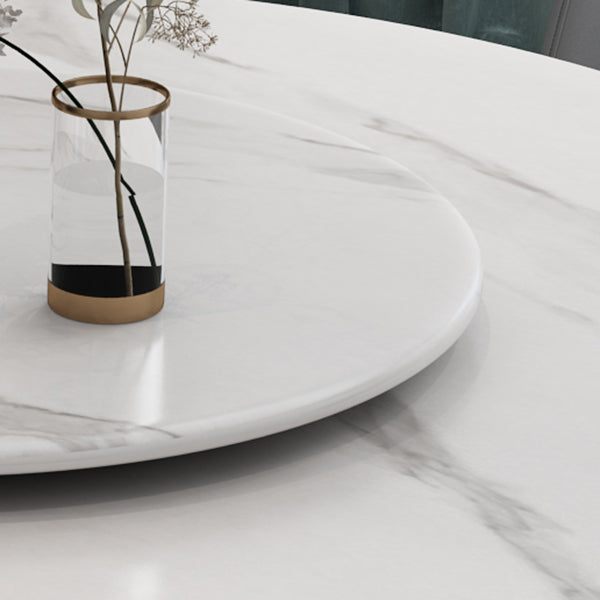 Contemporary Sintered Stone Round Dining Table Standard Kitchen Dining Table with Pedestal Base