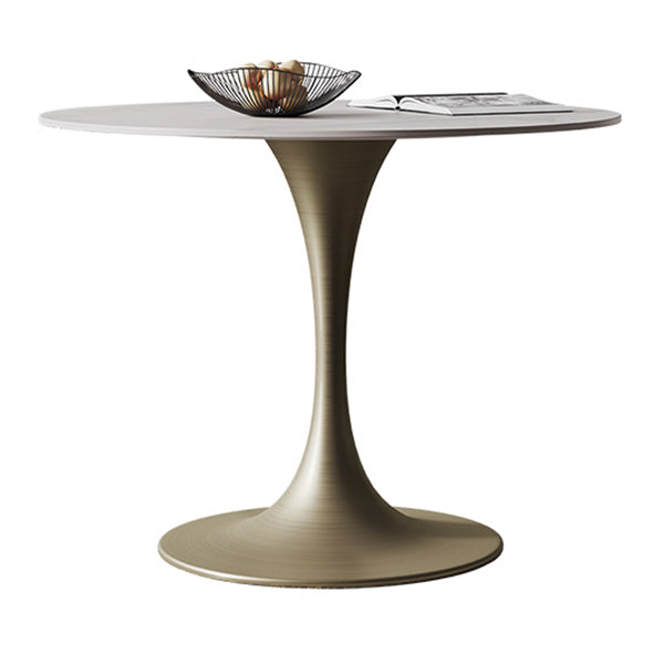 Round Tulip Base Dining Site Table Traditional Luxury Dinette Table for Home