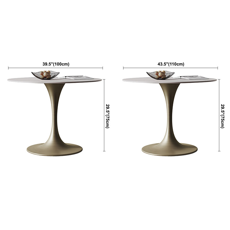 Round Tulip Base Dining Site Table Traditional Luxury Dinette Table for Home