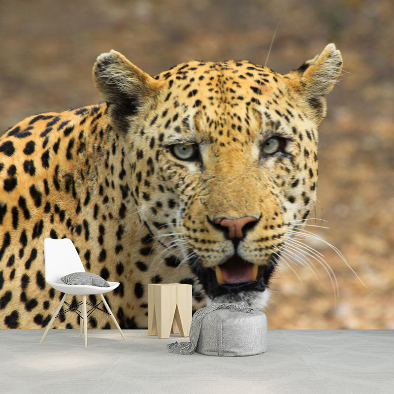 Leopard Mural Decal Modern Style Mildew Resistant Home Decor, Custom Size