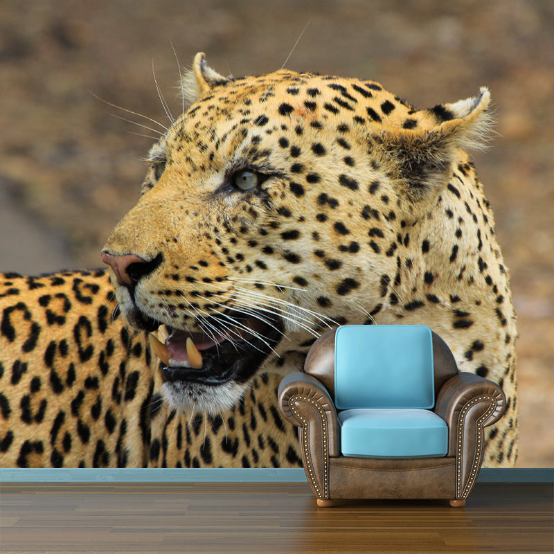 Leopard Mural Decal Modern Style Mildew Resistant Home Decor, Custom Size