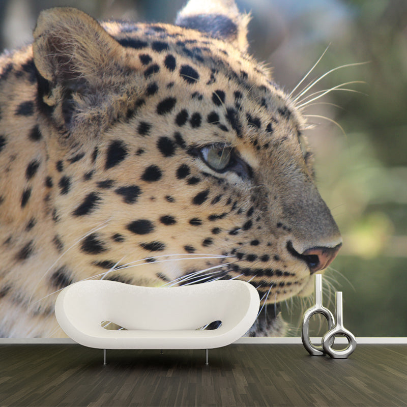 Leopard Mural Decal Modern Style Mildew Resistant Home Decor, Custom Size