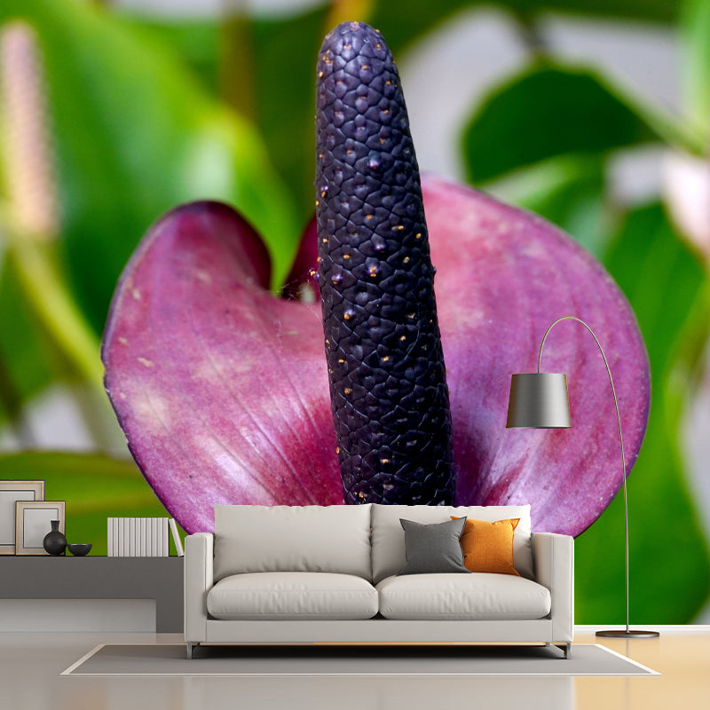 Plant Wall Decor for Living Room Wall Covering Murals, Moisture Resistant