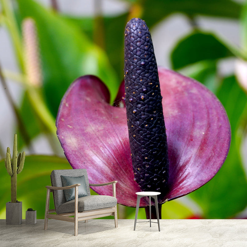 Plant Wall Decor for Living Room Wall Covering Murals, Moisture Resistant