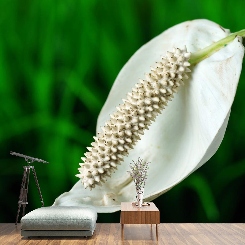 Plant Wall Decor for Living Room Wall Covering Murals, Moisture Resistant