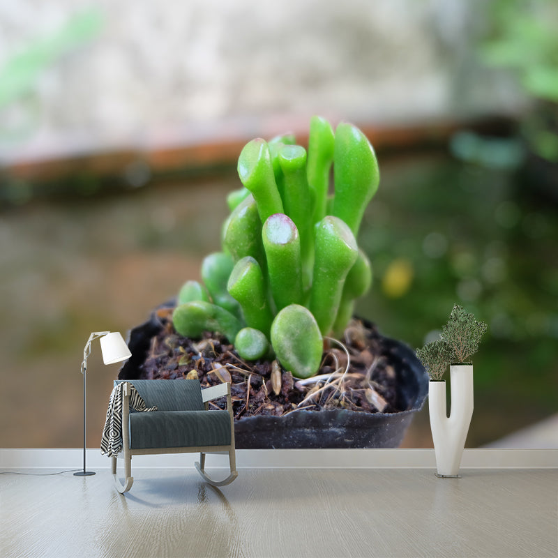 Anthurium Plant Wall Murals Contemporary Wall Art for Bedroom, Moisture Resistant