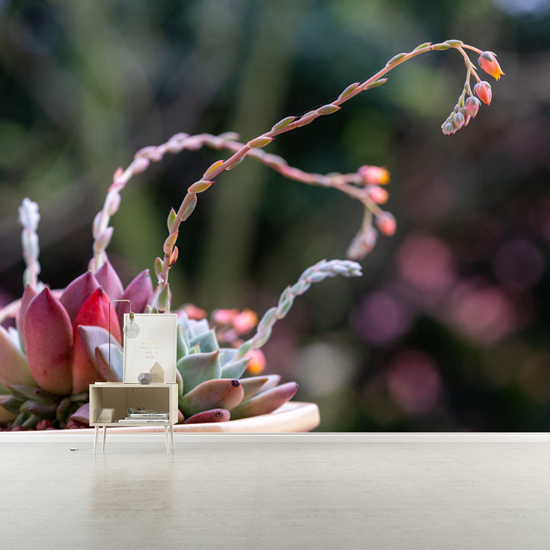 Anthurium Plant Wall Murals Contemporary Wall Art for Bedroom, Moisture Resistant