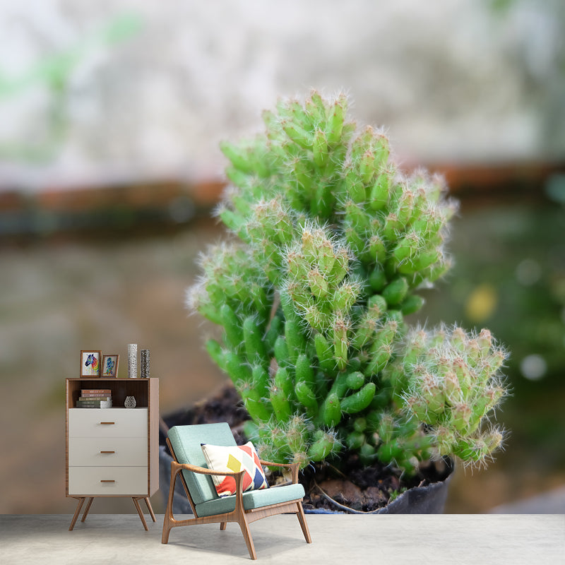 Anthurium Plant Wall Murals Contemporary Wall Art for Bedroom, Moisture Resistant