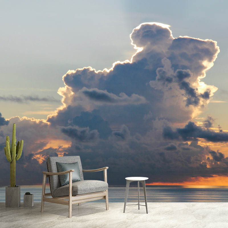 Sky Scenery Wall Murals Moisture Resistant Wall Covering for Living Room