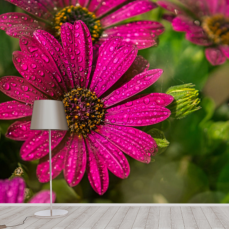 Chrysanthemum Wall Decor for Bedroom Moisture Resistant, Custom Size Available