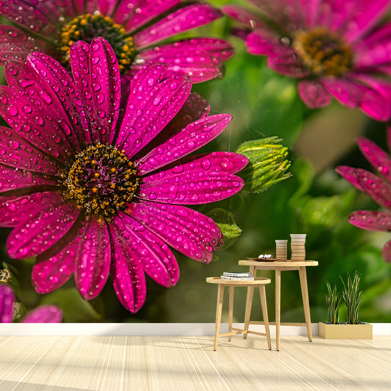 Chrysanthemum Wall Decor for Bedroom Moisture Resistant, Custom Size Available