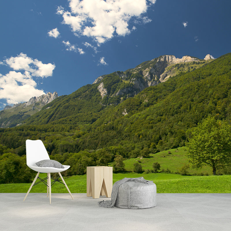 Mountain Scenery Wall Mural Modernism Style Wall Decoration for Study Room